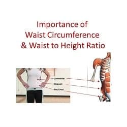 Importance of Waist Circumference & Waist to Height Ratio